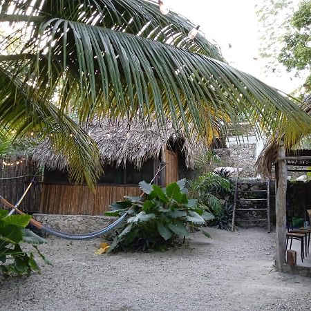 Muelle36 Hostel Bacalar Exteriér fotografie