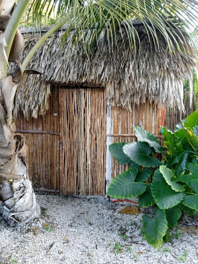 Muelle36 Hostel Bacalar Exteriér fotografie