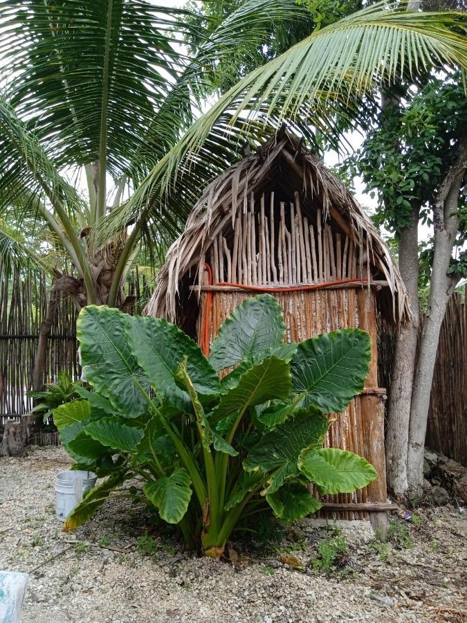 Muelle36 Hostel Bacalar Exteriér fotografie