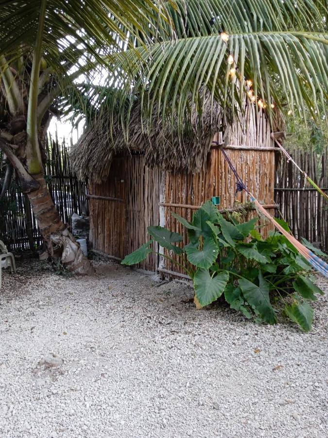 Muelle36 Hostel Bacalar Exteriér fotografie