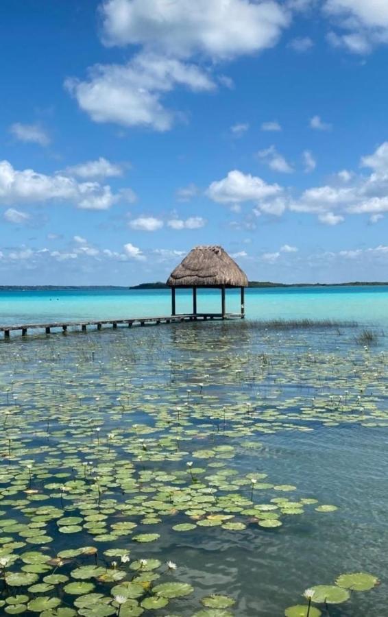 Muelle36 Hostel Bacalar Exteriér fotografie